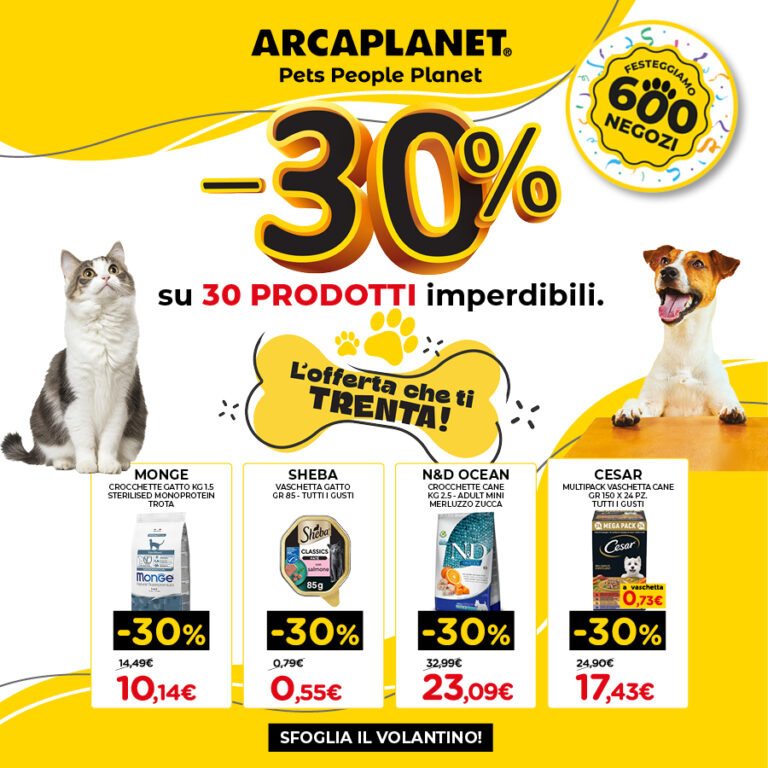 fino al 2 novembre